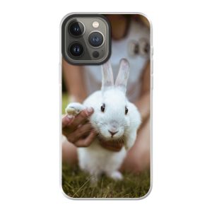 Hybrid Case MagSafe (mobile)