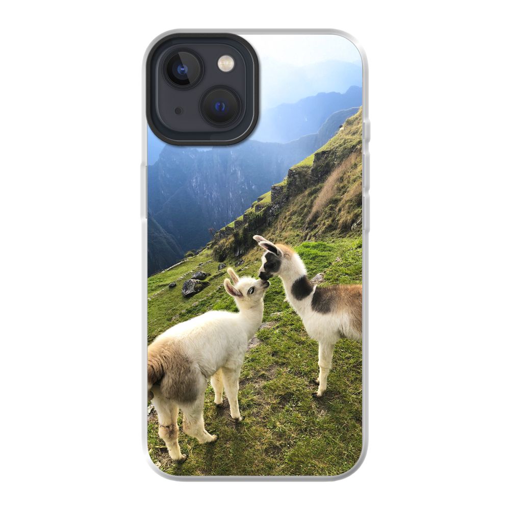 Hybrid Case MagSafe (mobile)