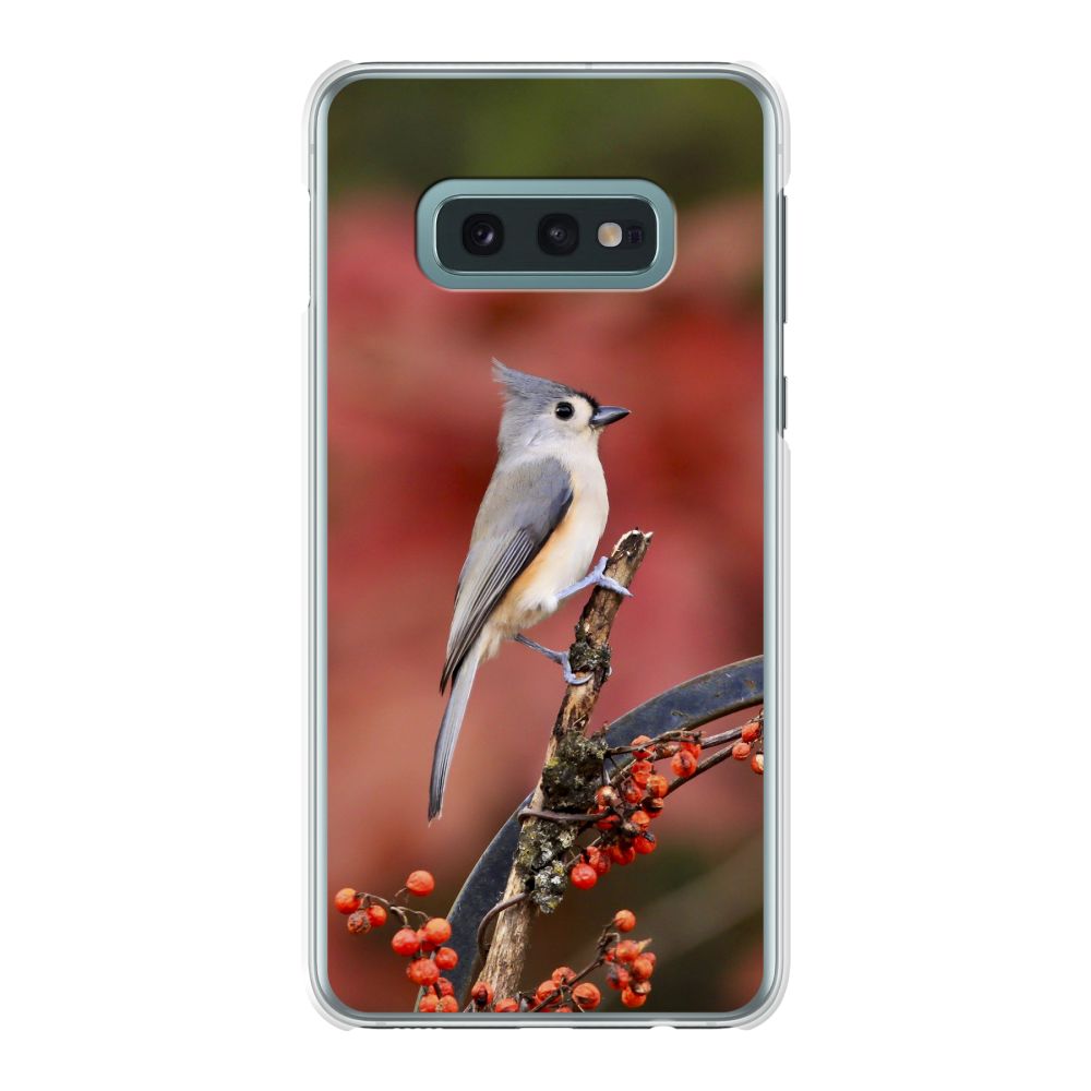 Back Printed Hard Case (mobile) (Transparent)