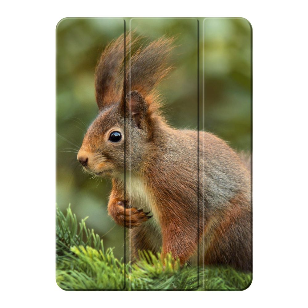 iPad Smart Case (tablet)